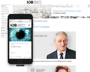 iob.ch-01_2019-02-28.png